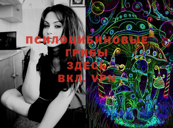 ПСИЛОЦИБИНОВЫЕ ГРИБЫ Бугульма