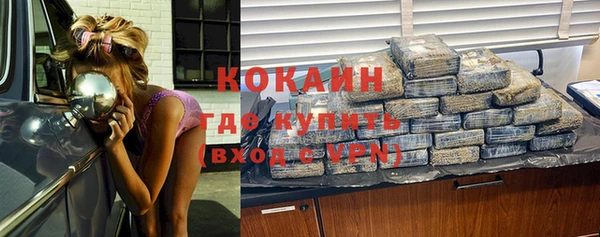 гидра Бронницы