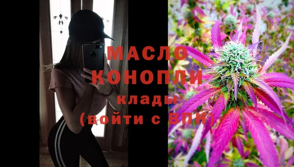 гидра Бронницы