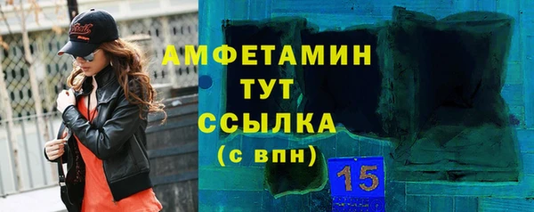 гидра Бронницы