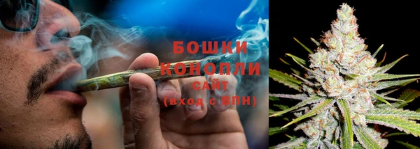 ПСИЛОЦИБИНОВЫЕ ГРИБЫ Бугульма
