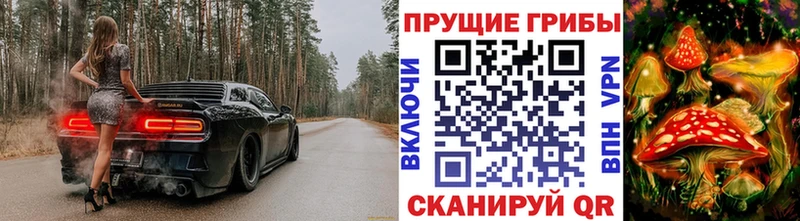 Галлюциногенные грибы прущие грибы  Купить  Мурино 